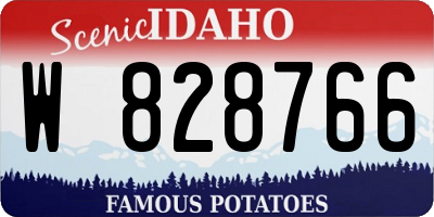 ID license plate W828766