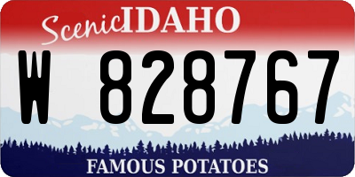 ID license plate W828767