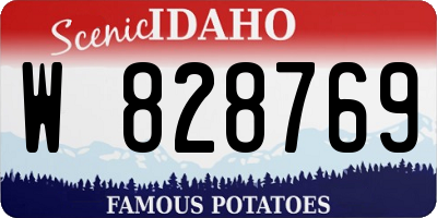 ID license plate W828769