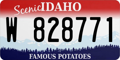 ID license plate W828771