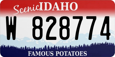 ID license plate W828774