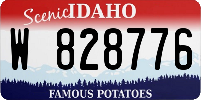 ID license plate W828776