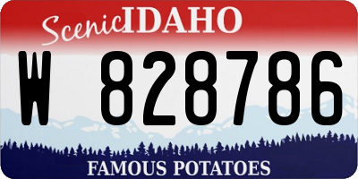ID license plate W828786