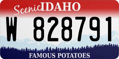 ID license plate W828791