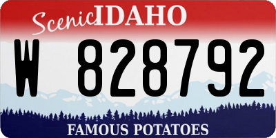 ID license plate W828792