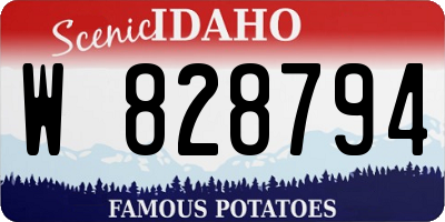 ID license plate W828794
