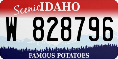 ID license plate W828796