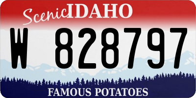 ID license plate W828797