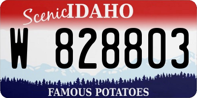 ID license plate W828803