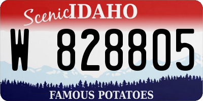 ID license plate W828805