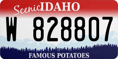 ID license plate W828807