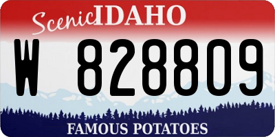 ID license plate W828809