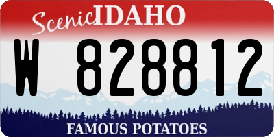 ID license plate W828812