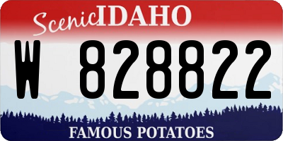 ID license plate W828822
