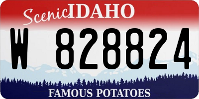 ID license plate W828824