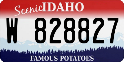 ID license plate W828827