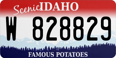 ID license plate W828829