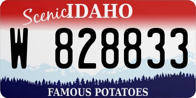 ID license plate W828833