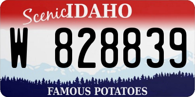 ID license plate W828839