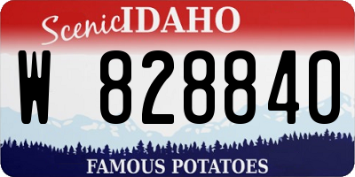 ID license plate W828840