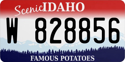 ID license plate W828856