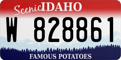 ID license plate W828861