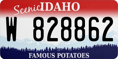 ID license plate W828862
