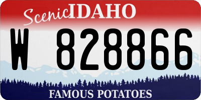 ID license plate W828866