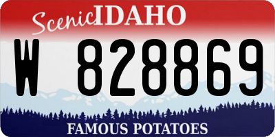 ID license plate W828869