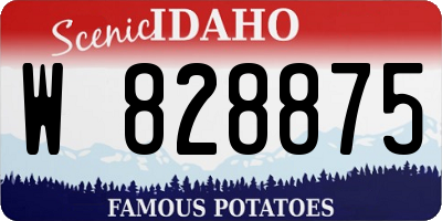 ID license plate W828875