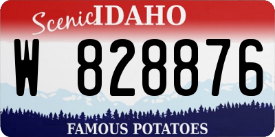 ID license plate W828876