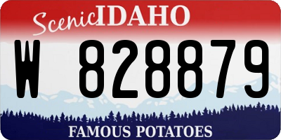 ID license plate W828879