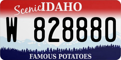 ID license plate W828880