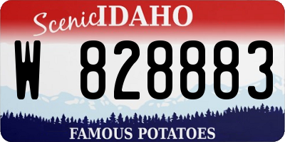 ID license plate W828883