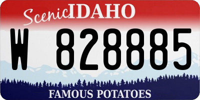 ID license plate W828885