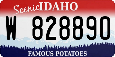 ID license plate W828890