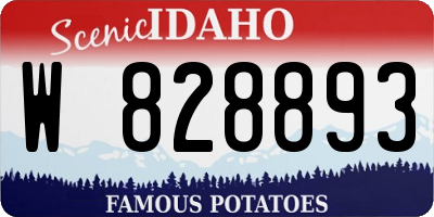 ID license plate W828893