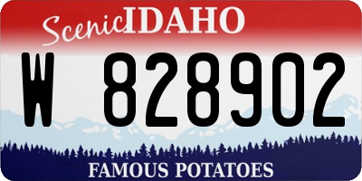 ID license plate W828902