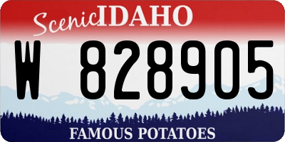 ID license plate W828905