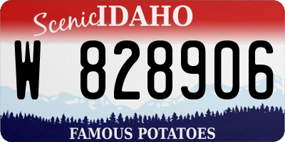 ID license plate W828906