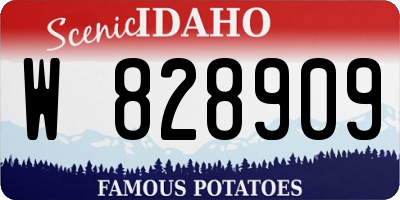 ID license plate W828909