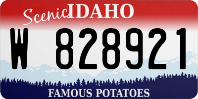 ID license plate W828921