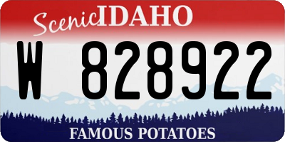 ID license plate W828922