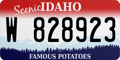 ID license plate W828923