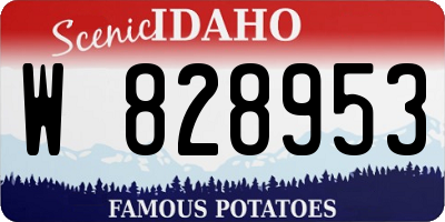 ID license plate W828953