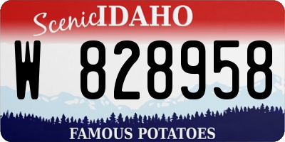 ID license plate W828958