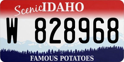 ID license plate W828968