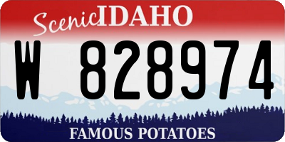 ID license plate W828974