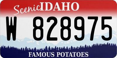 ID license plate W828975
