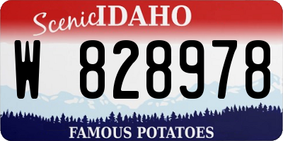 ID license plate W828978